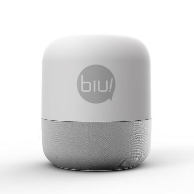 智能音箱IEC62368檢測報告